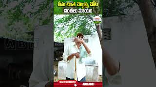 ఎనకట ఎక్కడబడితే అక్కడుండేవి ఈ చెట్లు చాలా ప్రొటీన్స్ ఉండే కాయలు దీనివి   ABN Agri shorts [upl. by Liscomb]