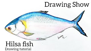 Hilsa Fish Drawing  How To Draw Hilsa Fish Easy step by step  Fish Drawing Easy [upl. by Mayor]