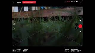 Live streaming of Jack Rabbit FPV [upl. by Katzir]