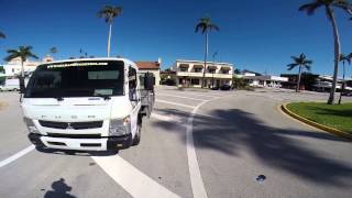 OHara Pest Control  Palm Tree Drenching Injecting West Palm Beach [upl. by Ultun]