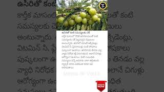 Want Better Eye Health Try Amla 👀🍈 AmlaBenefits EyeHealth [upl. by Ydoow]