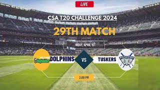 AET Tuskers vs Dolphins Live Score CSA T20 Challenge 2024 [upl. by Asseniv50]