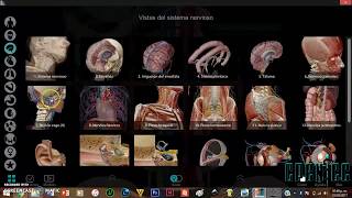 ATLAS DE ANATOMIA HUMANA  Dr Garcia [upl. by Asiaj]