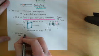 Pain and Analgesic Drugs Part 2 [upl. by Goodkin]