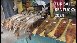 Fur Sale Kentucky 2024 [upl. by Teddman]