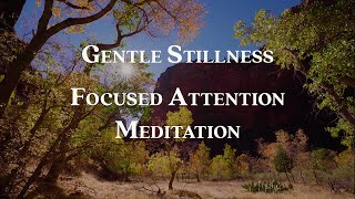 Gentle Stillness  Focused Attention Meditation  Mindfulness for Humans [upl. by Broucek]