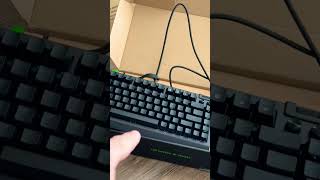 Honest Gaming Keyboard Review [upl. by Echikson]