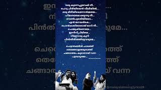 Oru koodanna pooveki nee song lyrics twocountriesmoviesong malayalamsonglyrics Chenthenginsong [upl. by Eliezer]