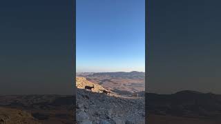 Ibex en Mitzpe Ramon Israel [upl. by Otxilac]