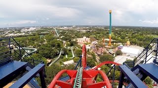 SheiKra Front Row POV Ride at Busch Gardens Tampa Bay on Roller Coaster Day 2016 Dive Coaster [upl. by Shulins]