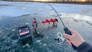 EPIC MultiSpecies Ice Fishing WALLEYES CRAPPIES and BLUEGILLS [upl. by June]