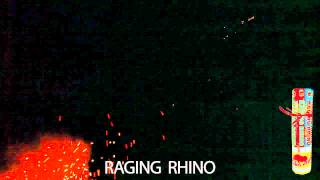 Red Rhino Fireworks  Raging Rhino Roman Candle [upl. by Ekyt32]