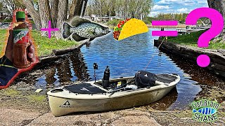 Catch amp Cook Tajin Fish Tacos Is the Ascend H10 is my new favorite 🎣 boat❤️ kayakfishing [upl. by Nickelsen195]