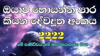 2222 angel number meaning  2222 දේවදූත අංකය [upl. by Symon431]