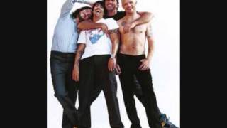 Cant Stop By Red Hot Chili Peppers lyrics [upl. by Jock]