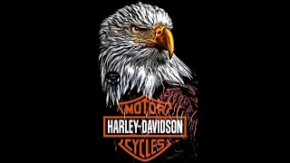 HARLEYDAVIDSON FREEDOM [upl. by Yecniuq]