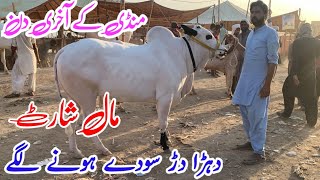 Mall short Bhatta chowk mandi June 15 2024 latest update [upl. by Krista]