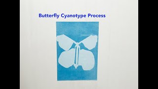 Butterfly Cyanotype Process [upl. by Panchito]