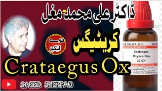 Crataegus Ox Heart Remedy By Dr Ali [upl. by Egwin]