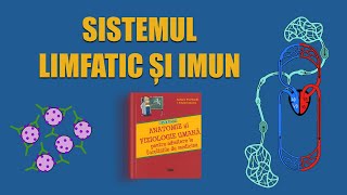 C16 Sistemul limfatic și imun  LIVE BARRONS ADMITERE MEDICINĂ [upl. by Nnylav]