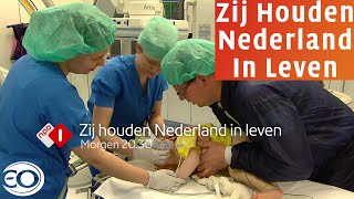 PROMO  Zij houden Nederland in leven  25 mei  2025 NPO1 [upl. by Halstead]