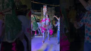 Teri Boli Per Marju Mere Rang Rasiya Ghodi Dance Shortghodi ghodidancevideoshortvideo dancevideo [upl. by Leidba]