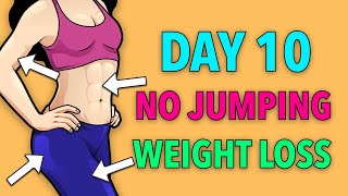 NO JUMPING Exercises  2 Weeks Weight Loss Challenge [upl. by Norga]