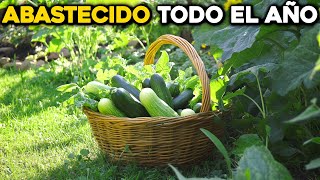 Todo lo que GANAS al cultivar Pepinos frescos en tu Huerto [upl. by Nmutua]