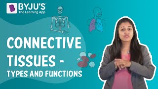 Connective Tissues  Types And Functions I Class 9 I Learn with BYJUS [upl. by Gatian585]