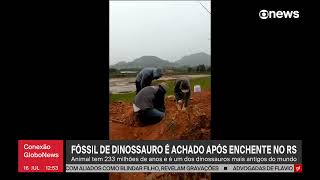 UFSM descobre fóssil de dinossauro de 233 milhões de anos [upl. by Annaoy417]