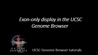 Exononly display in the UCSC Genome Browser [upl. by Odrareg241]