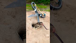 DIY Snake Trap shortvideo pestcontrol shorts [upl. by Ydnih]