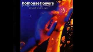 Hothouse Flowers  One Tongue [upl. by Belda]