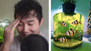 they made a Tetra Jar Ecosphere  Fish Tank Review 237 [upl. by Trev]