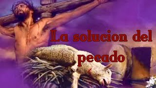 El pecado Tiene solución [upl. by Epifano606]