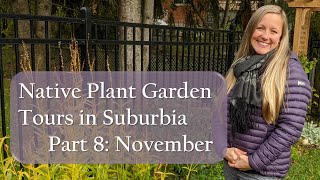 November Native Plant Garden Tour  Part 8  2021 [upl. by Leaper716]