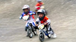 ANAK KECIL BALAP SEPEDA BMX LUCU  Jogjakarta Bike Racing Youth Center Circuit BMX INDONESIA [upl. by Nreval]