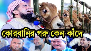 ১৪ই জুন হজ্জ ও কোরবানির জুম্মা বয়ান ইলিয়াছুর রহমান জিহাদী eliasur rahman zihadi waz 2024 [upl. by Shelton]