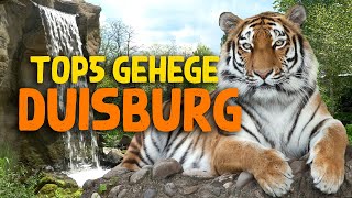 Die 5 besten Gehege im Zoo Duisburg [upl. by Jacoba]