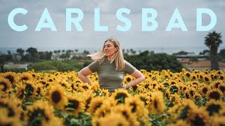 My Solo Trip to Carlsbad California [upl. by Vorster]