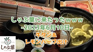 【牛たん】しゃぶ葉に来たったｗｗｗ2023年6月30日 【しゃぶ葉】 しゃぶ葉 牛肉 食べ放題 しゃぶしゃぶ 名取さな しゃぶ葉ニキ 牛みすじ 肉の日 おつしゃぶ [upl. by Eirak887]