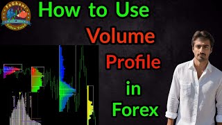 How to Trade Market  Volume Profile In Forex Trading  FxGhani Gold Trading [upl. by Bosch801]