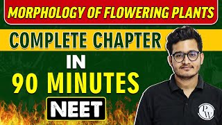 MORPHOLOGY OF FLOWERING PLANTS in 90 minutes  Complete Chapter for NEET [upl. by Iidnarb]