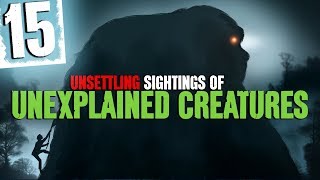 15 Unexplained Creature Sightings with Forest Sounds and Water Sound Effects  Darkness Prevails [upl. by Kristina785]