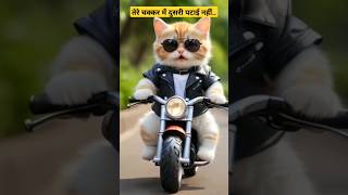 तेरे चक्कर में दुसरी पटाई नहींCat shortvideo ytshorts viralvideo viralsong [upl. by Brandea]