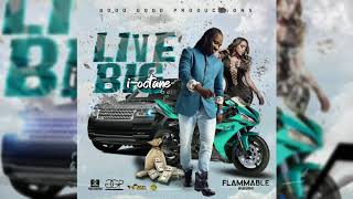 IOctane  Live BIG Official Audio [upl. by Aimahs16]