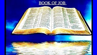 BOOK OF JOB CHAPTER 22  JOB CHAPTER 31 [upl. by Lingwood]