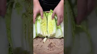 How to cut Cabbage amp Vegetables cutting Activity cuttingskils [upl. by Aicnerolf]