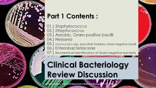 Summarized Review Discussion 01  Microbiology 1  CLINICAL BACTERIOLOGY pt1 [upl. by Launam]