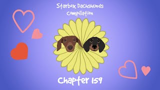 Starbox Dachshunds Compilation Chapter 159 [upl. by Aehcim733]